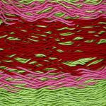 Lime/Red/Pink