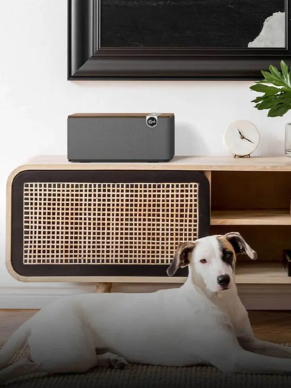 The One Plus - Premium Bluetooth Speaker - Image 11